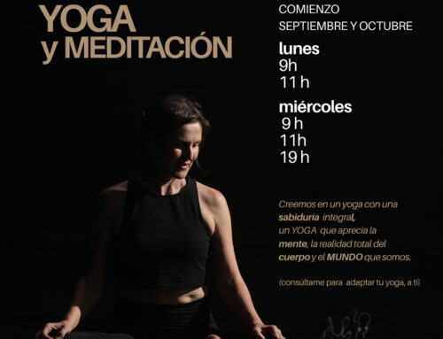 CLASES DE YOGA CLÁSICO. EL ARTE DE REGRESAR A CASA